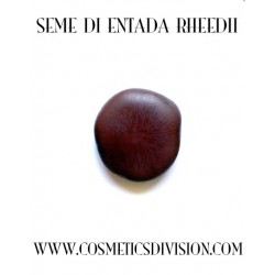 SEME DI ENTADA RHEEDII - ONEIROGENO SCIAMANICO  -  WWW.COSMETICSDIVISION.COM - ORGANIC - BIO - ONEIROGENO - SCIAMANICO