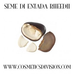 SEME DI ENTADA RHEEDII - ONEIROGENO SCIAMANICO  -  WWW.COSMETICSDIVISION.COM - ORGANIC - BIO - ONEIROGENO - SCIAMANICO