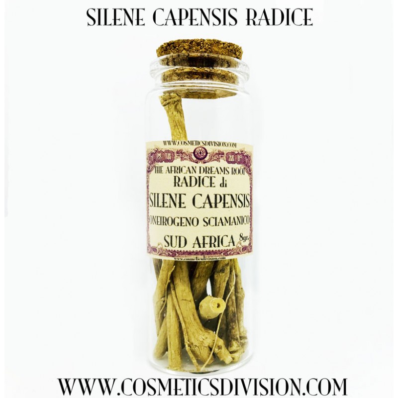 SILENE CAPENSIS RADICE ONEIROGENO SCIAMANICO ERBA DEI SOGNI WWW.COSMETICSDIVISION.COM SILENE CAPENSIS RADICE ONEIROGENO SCIAMANICO ERBA DEI SOGNI WWW.COSMETICSDIVISION.COM
