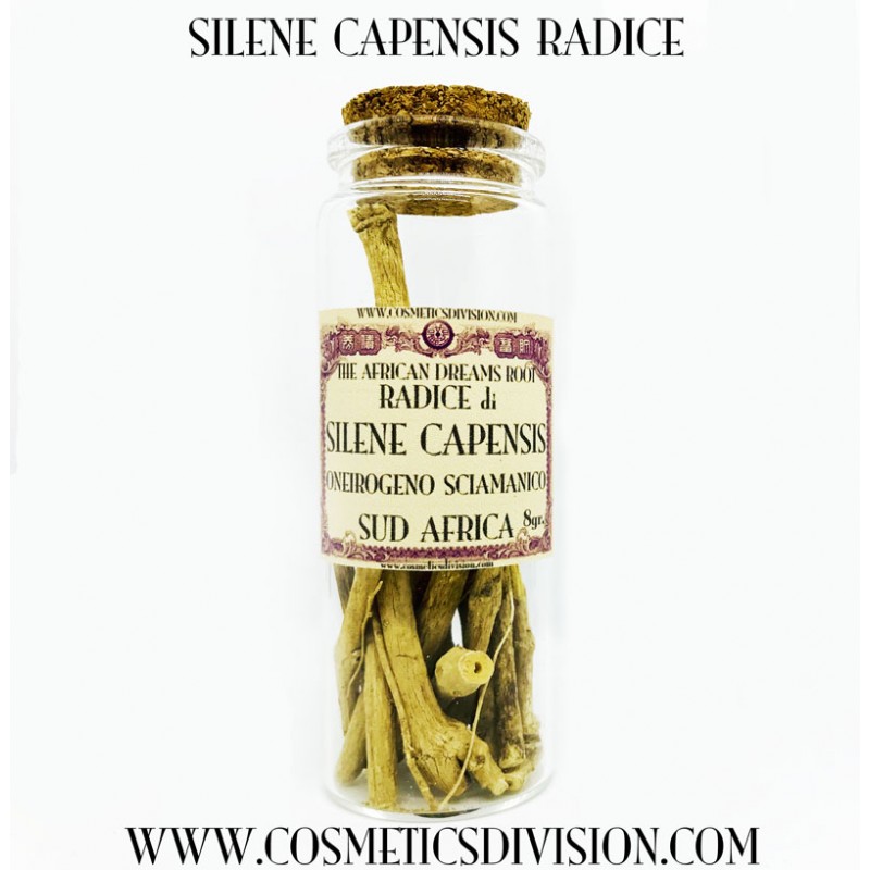 SILENE CAPENSIS RADICE ONEIROGENO SCIAMANICO ERBA DEI SOGNI WWW.COSMETICSDIVISION.COM