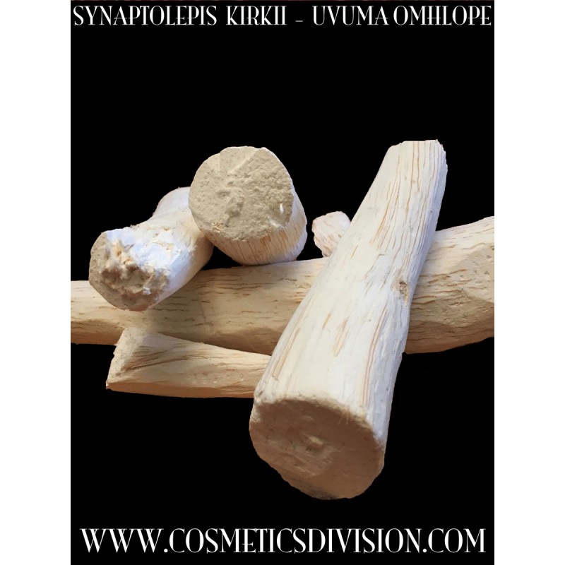 SYNAPTOLEPYS KIRKII, UVUMA, OMHLOPE, CERVELLO REATTIVO, CELLULE NEURONALI NUOVE E RIGENERATE, WWW.COSMETICSDIVISION.COM